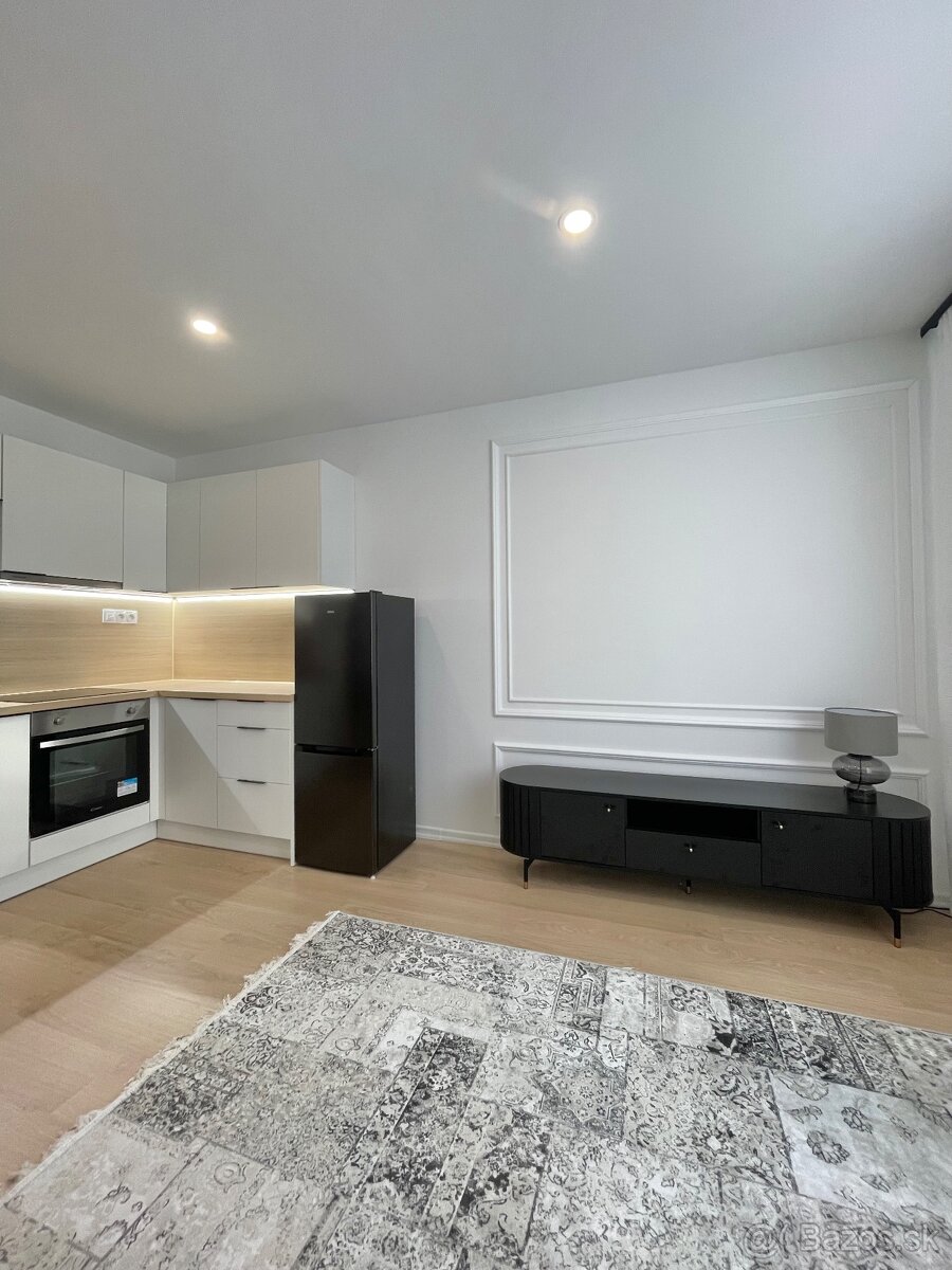 Prenájom 2 izboveho bytu - 10