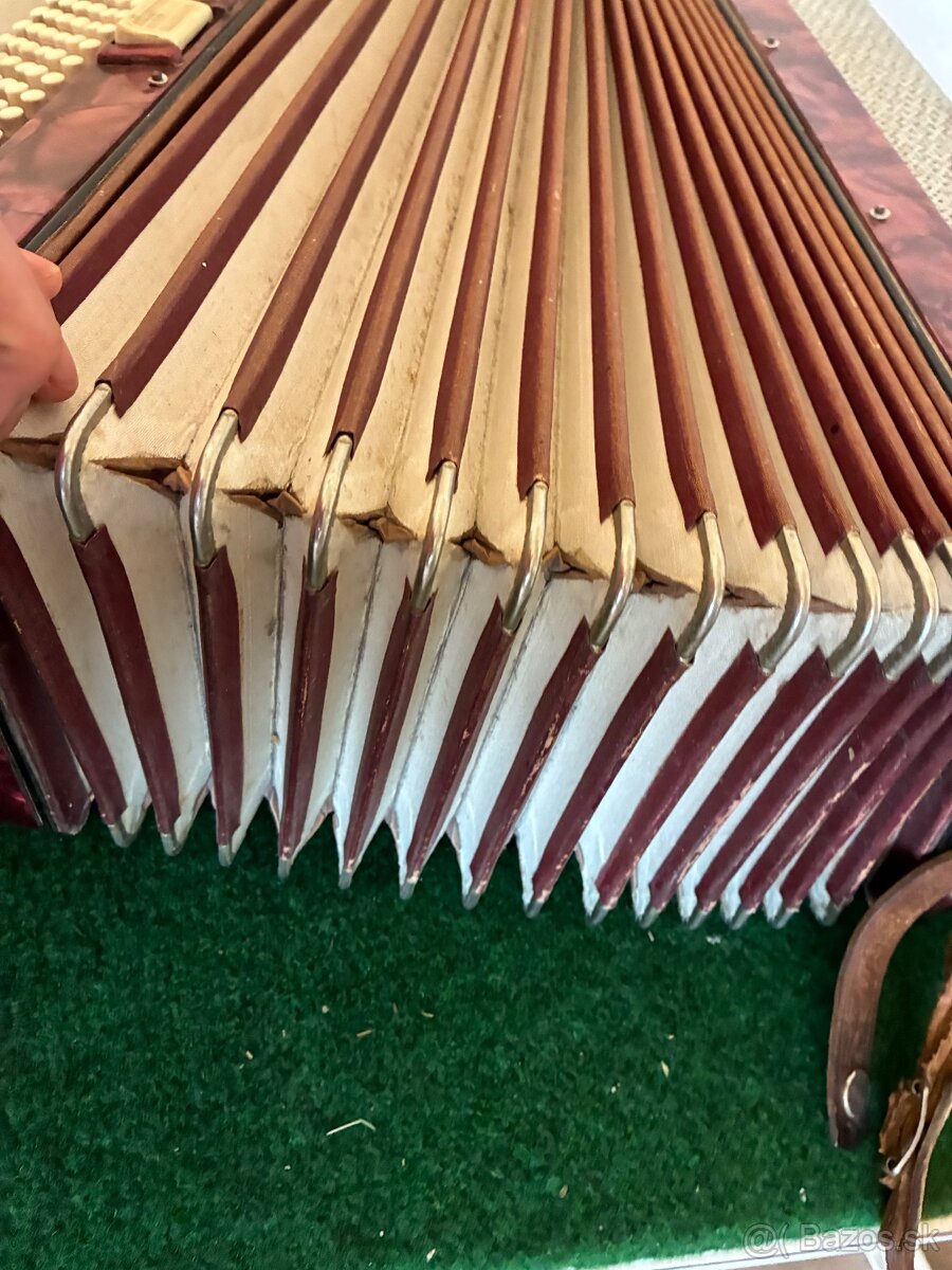 Harmonika Hugo Rauner - 10