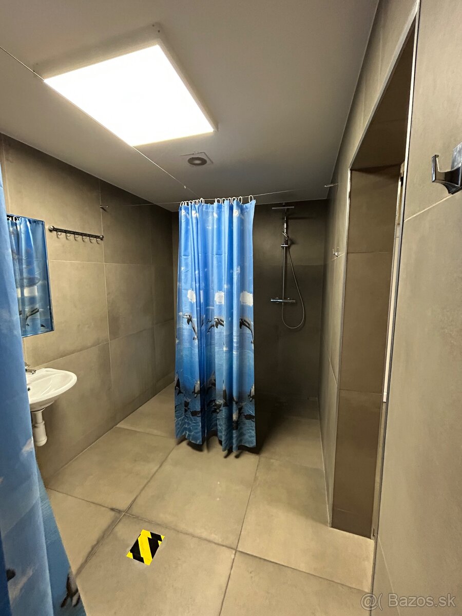 Skladové priestory na prenájom - 10