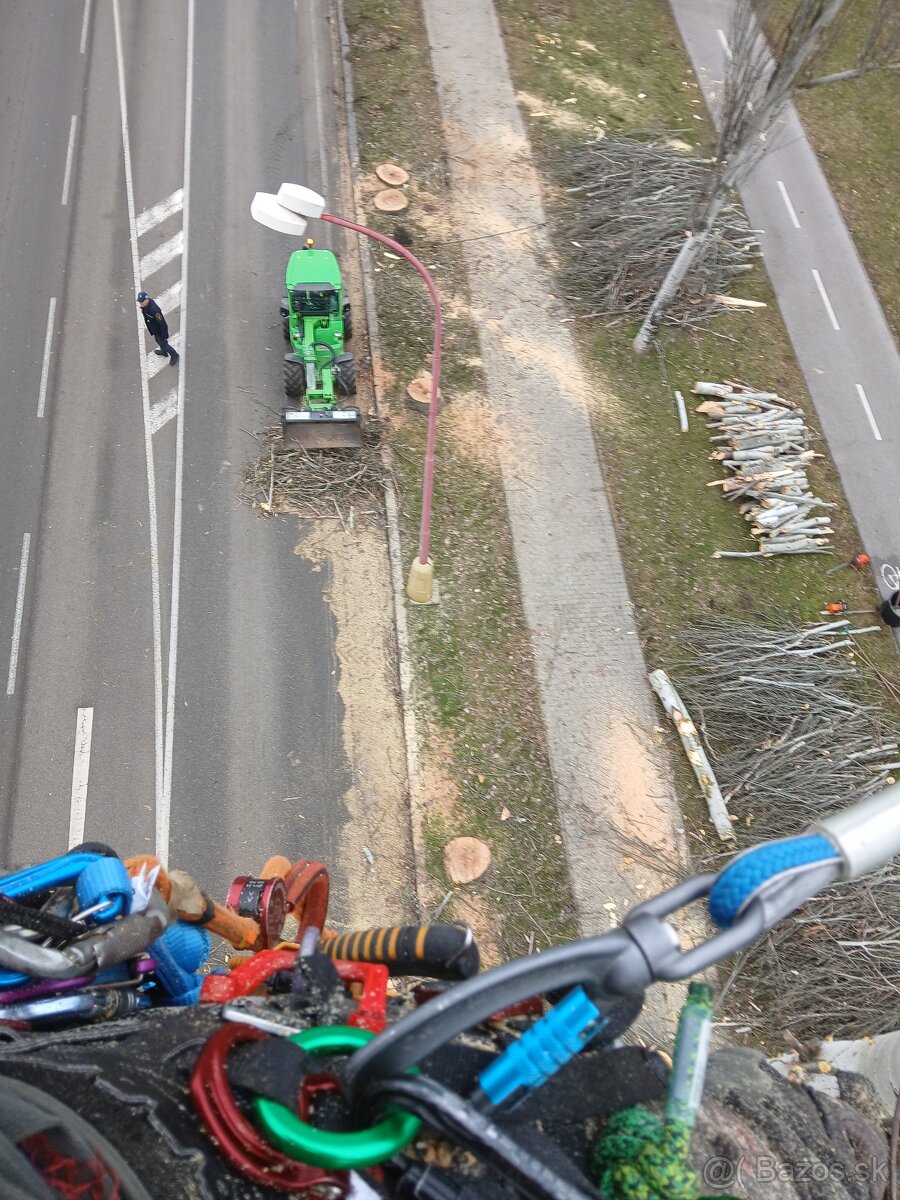 Arboristika, rizikové výruby a orezy stromov - 10