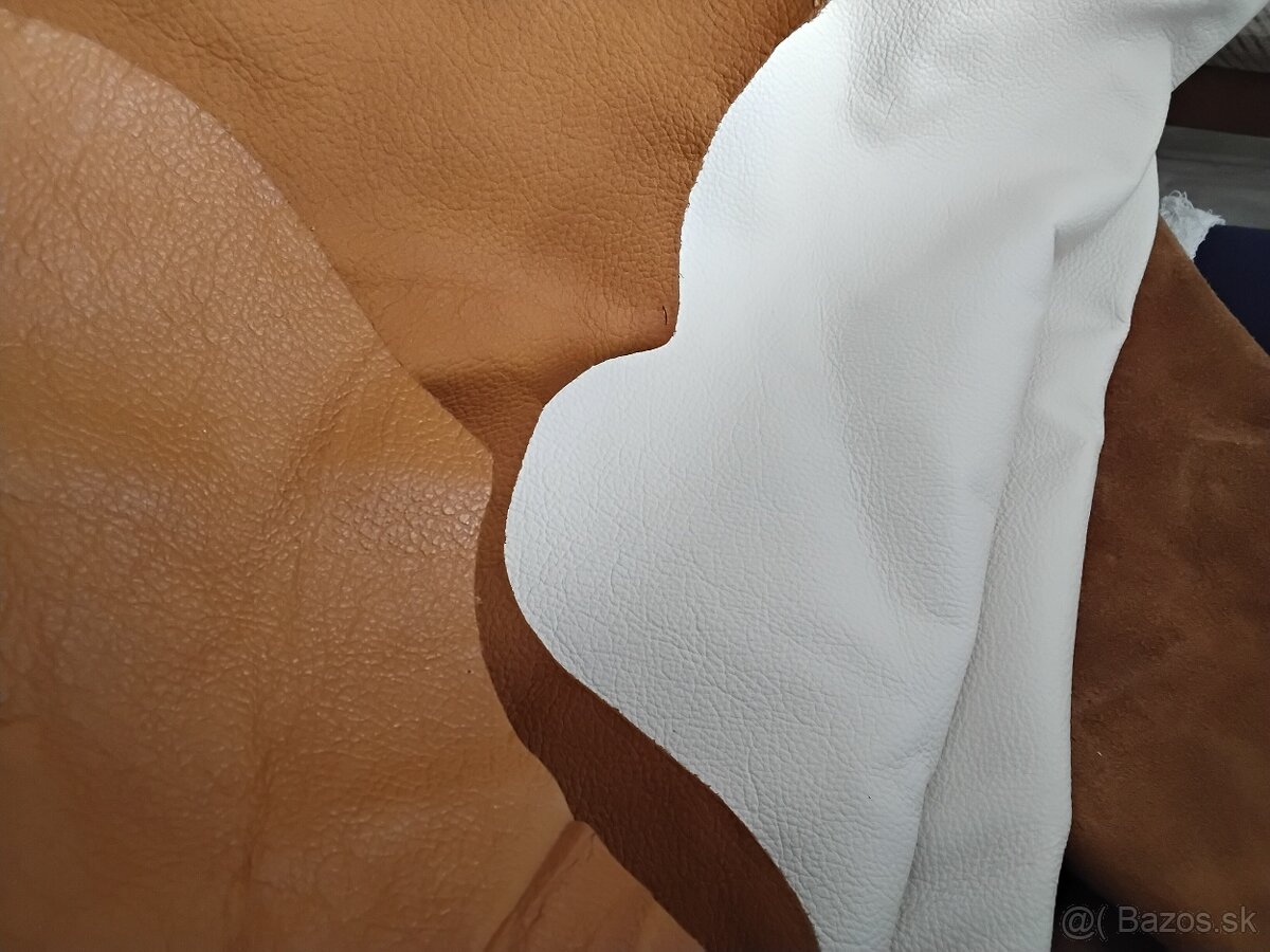 Čalunicka koža - 10
