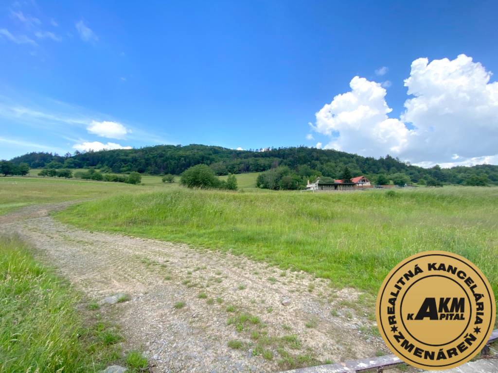 Pozemok na predaj, 13 237 m2 Slatinské Lazy, okres Detva - 10