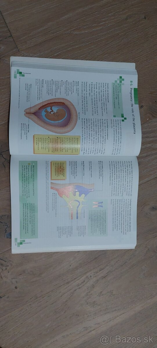 Cambridge učebnice - 10