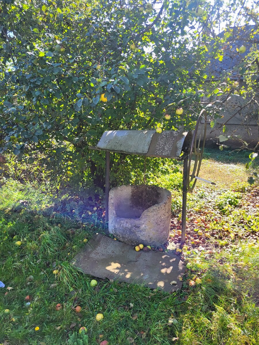 TOP Ponuka, Dom + pozemok 2513m2 v Zemplinskom Hradisti - 10