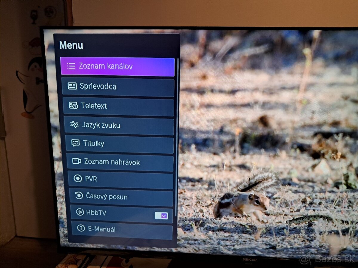 LED Full HD hevc.265 Smart - 10