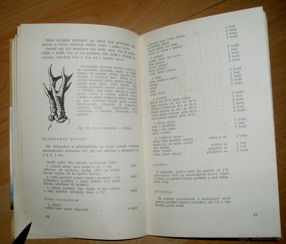 Lovecké praktikum - 10