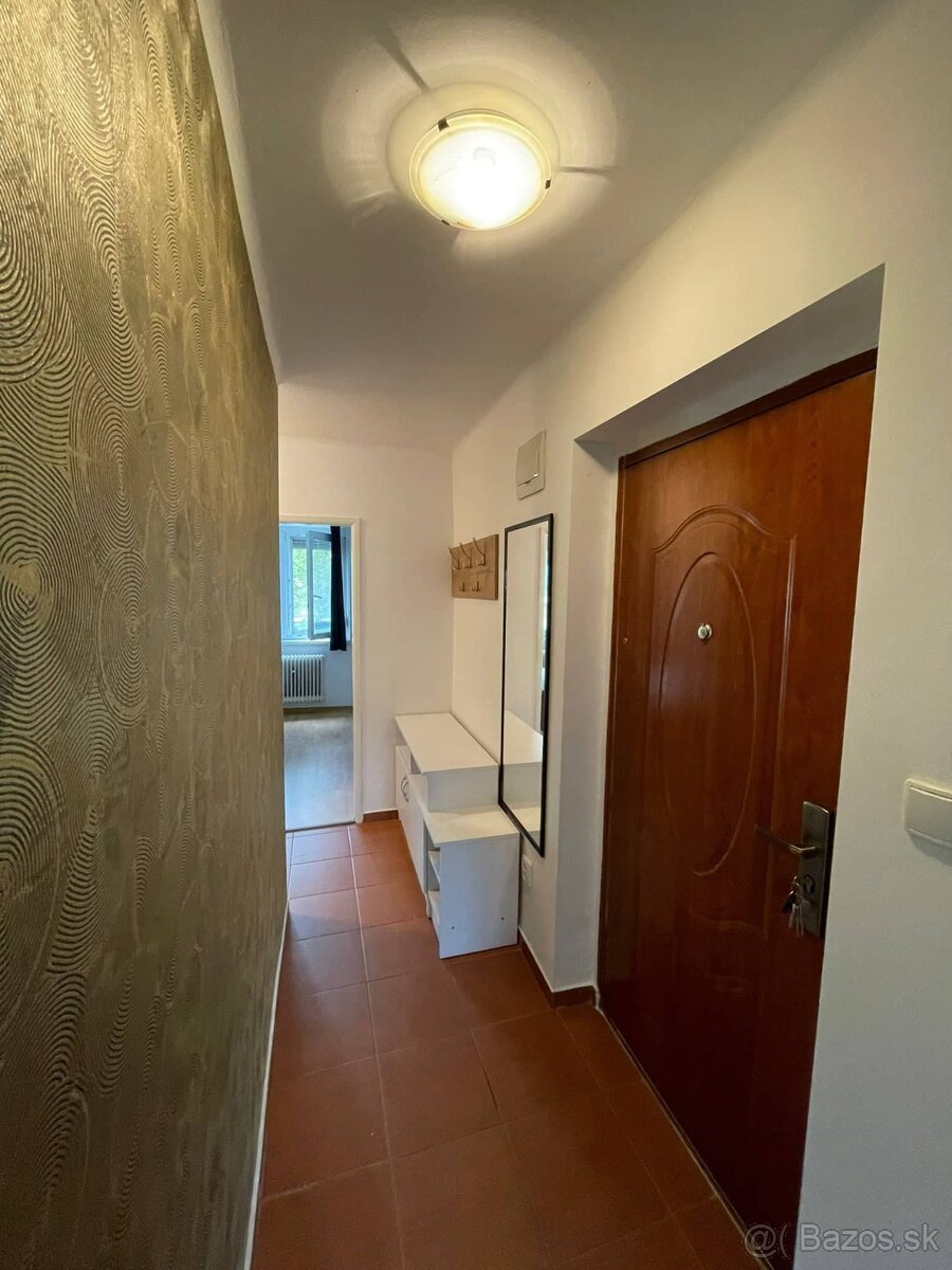 2izb byt so zariadením + internetom na Ružovom háji - 10