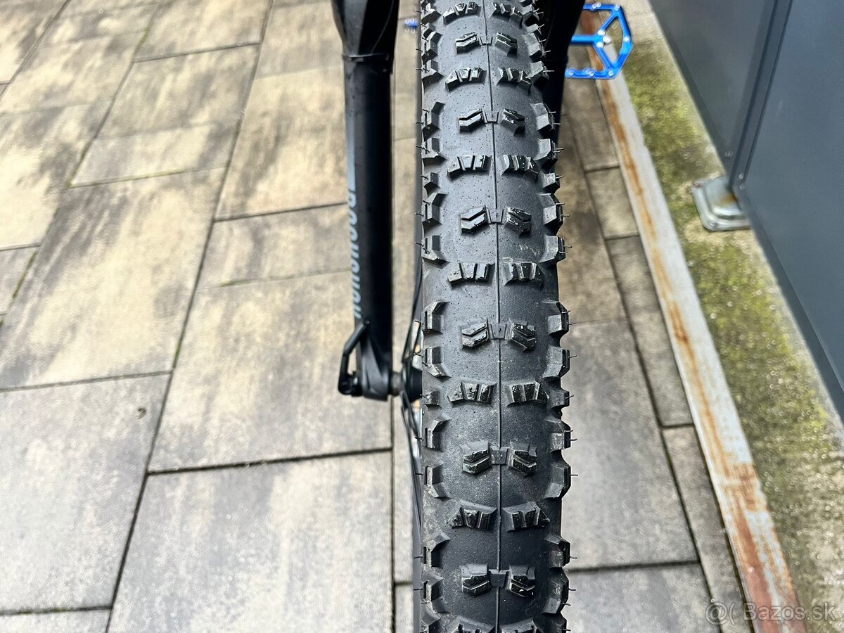 CTM Zephyr Pro 2023 ‘29’ - 10