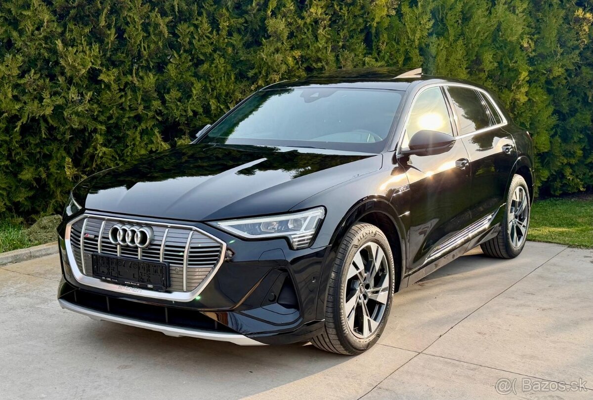 AUDI E-Tron S-line Quattro,230KW/313PS,PANO,KOZA,KAM,MATRIX - 10