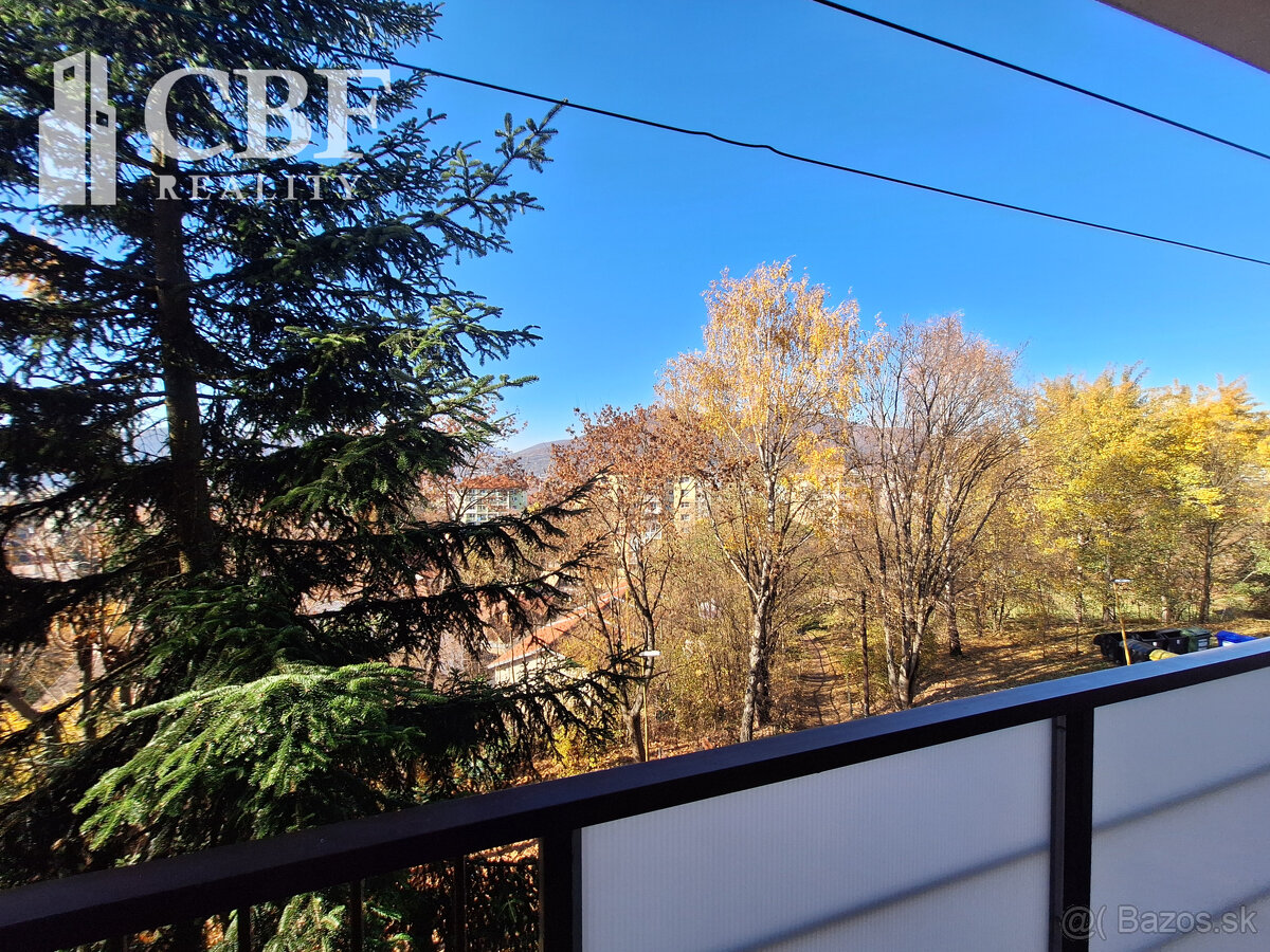 1-IZBOVÝ BYT S DVOMI LOGGIAMI NA PRENÁJOM - 10