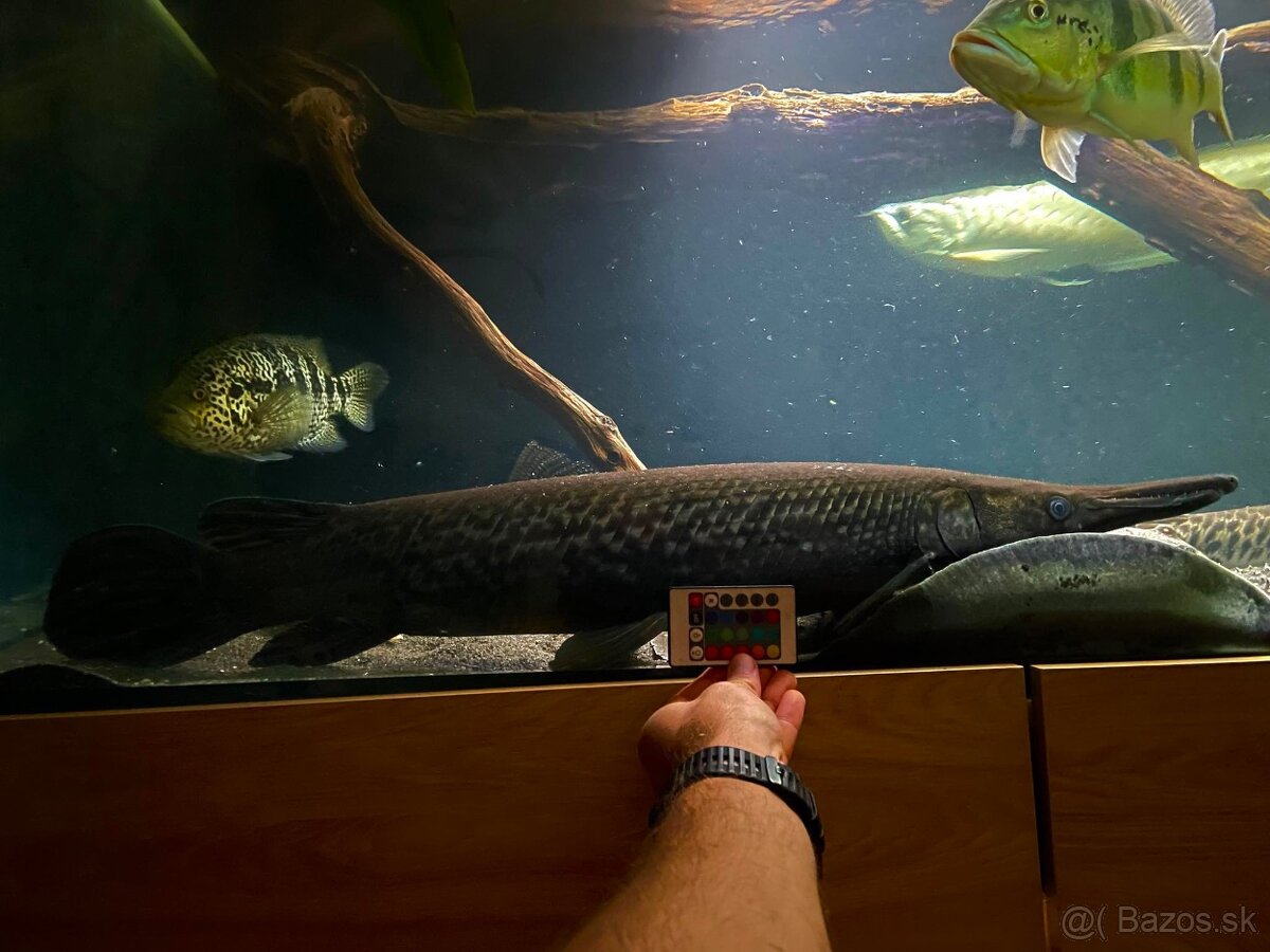 Predám akvárium komplet - 10