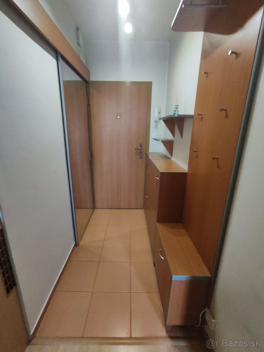 Na prenájom 1 izbový byt - 10