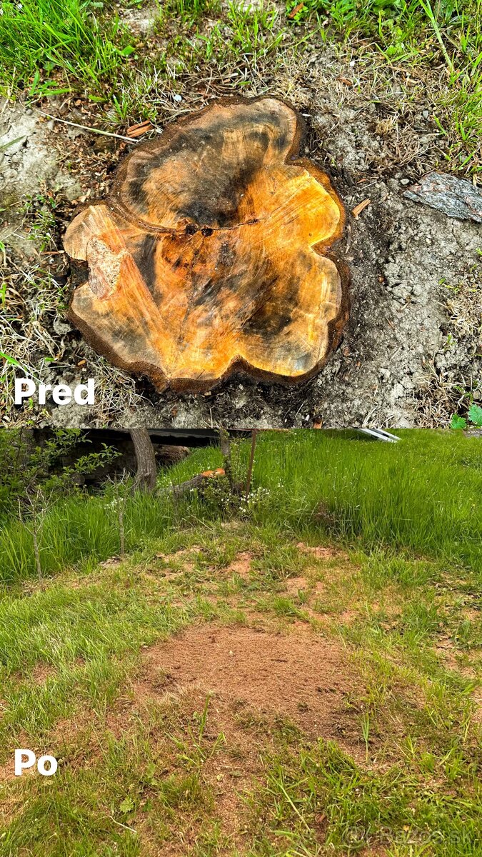 Frézovanie pňov, likvidácia pňov, odstránenie - 10