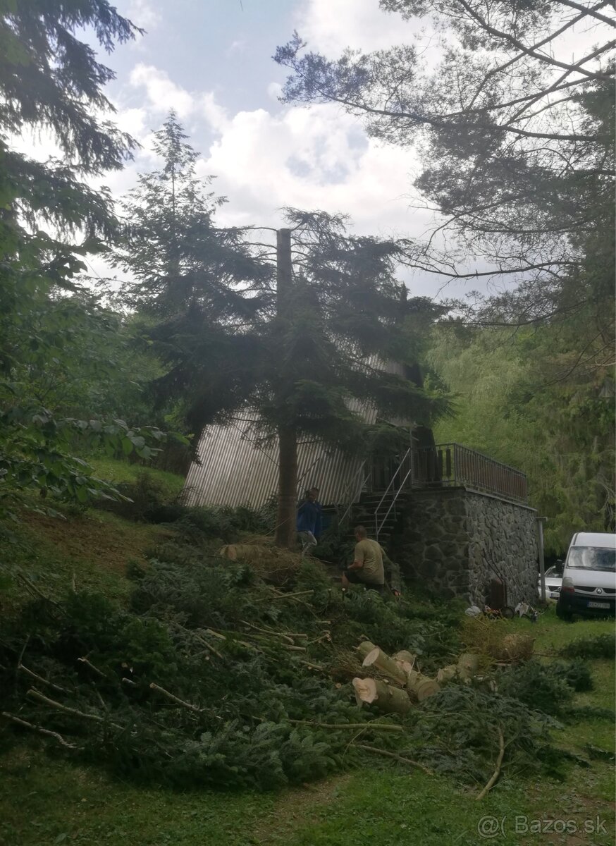 🌳 kosenie, orez / výrub stromov, ,odvoz 🌿 - 10