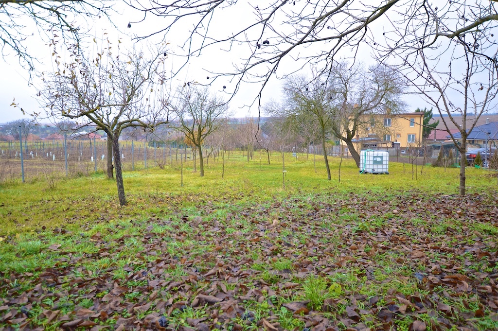 NA PREDAJ 3I DOM V KOLTE S OVOCNOU ZÁHRADOU - 10