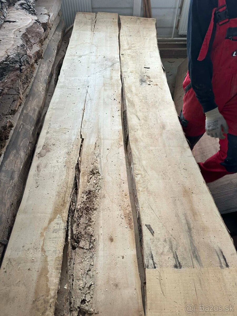 Vysušené javorové fošne, javor horský - 10