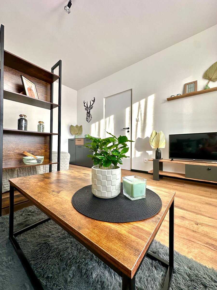 Prenájom 1izbového bytu - 10