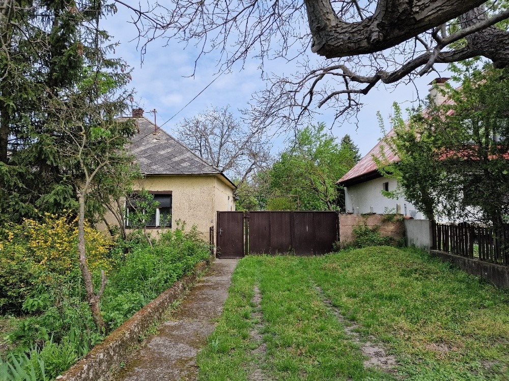 Pozemok o výmere 4543 m2 so starším RD na predaj - 10