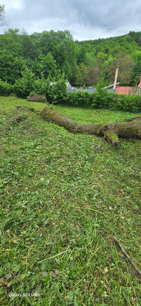 Vyrub rizikových stromov - orez - 10