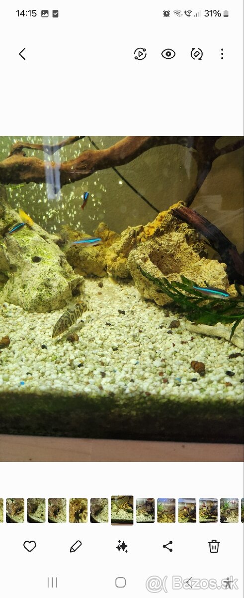 Predám panoramatické akvárium 200l, komplet alebo zvlášť - 10