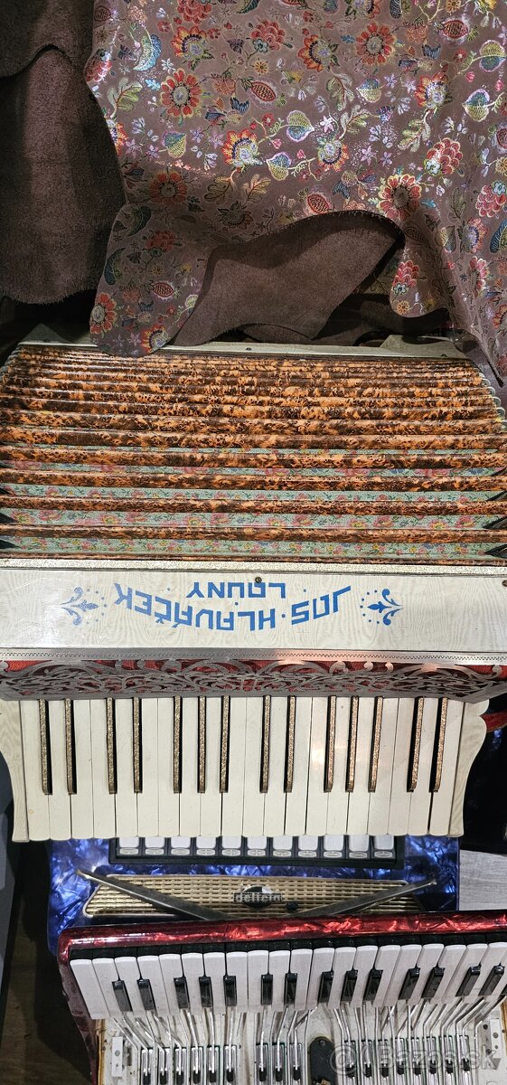 Heligonka akordeon harmonika - 10