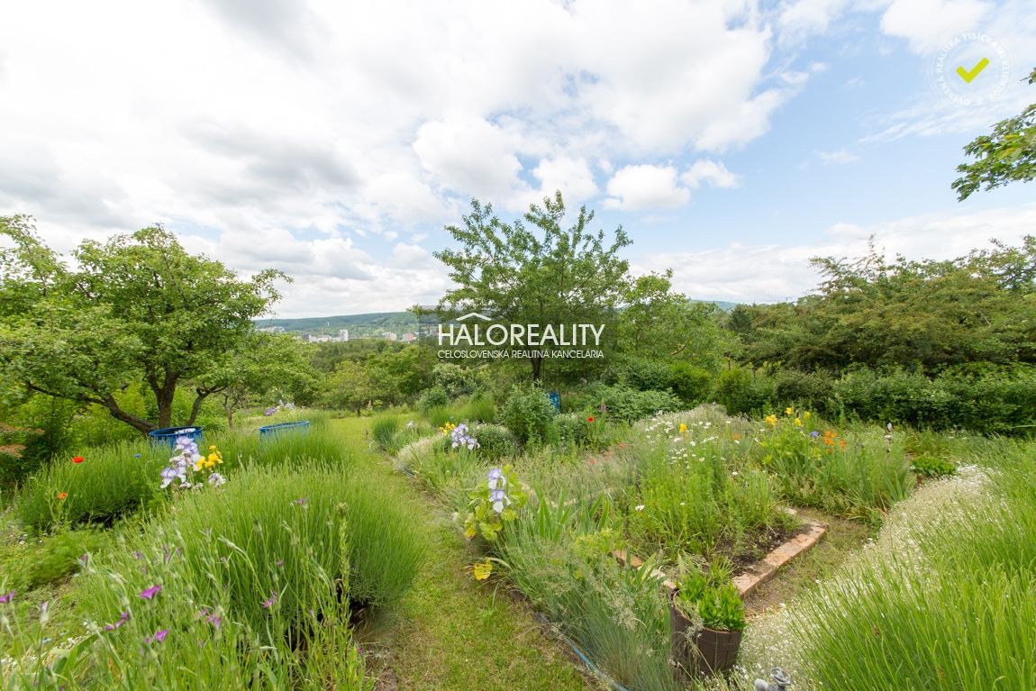 HALO reality - Predaj, záhradný pozemok 4064 m2 Bratislava - 10