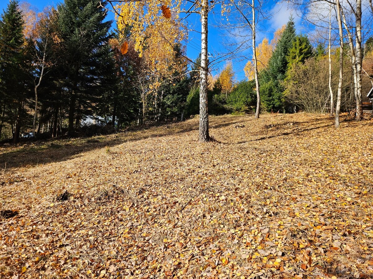 Predam chatu s pozemkom 1978m2 Drienica - 10