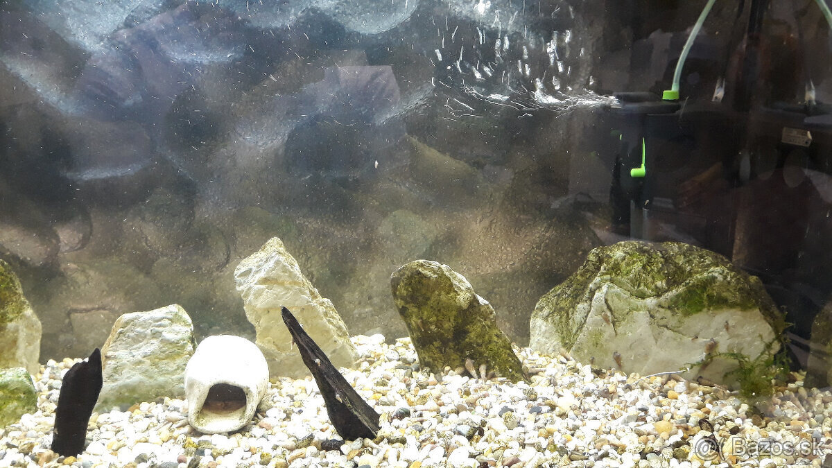 predám akvárium - 10