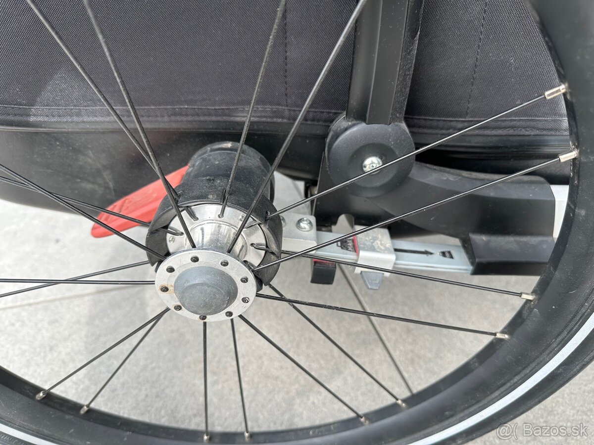 Thule Chariot CAB 2 - 10