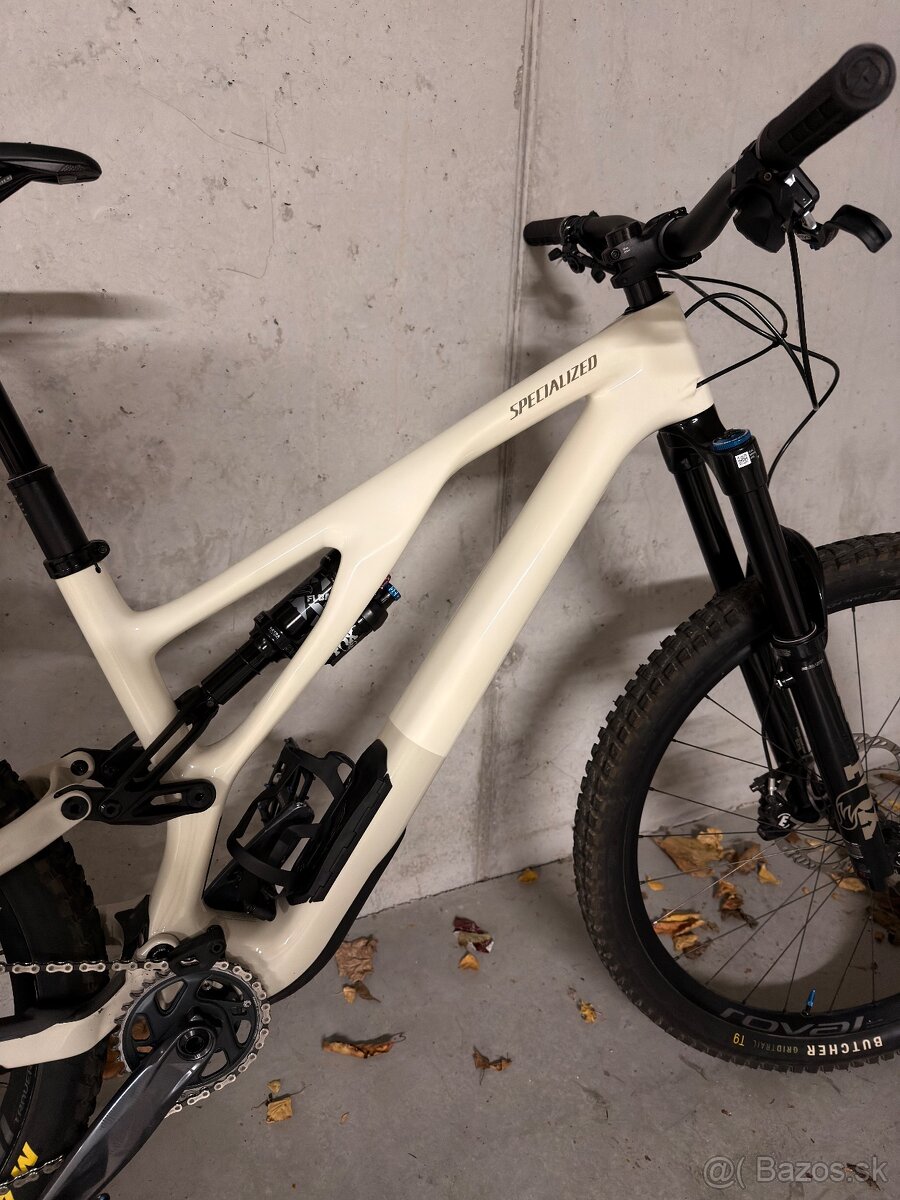 Specialized Stumpjumper Expert - 10