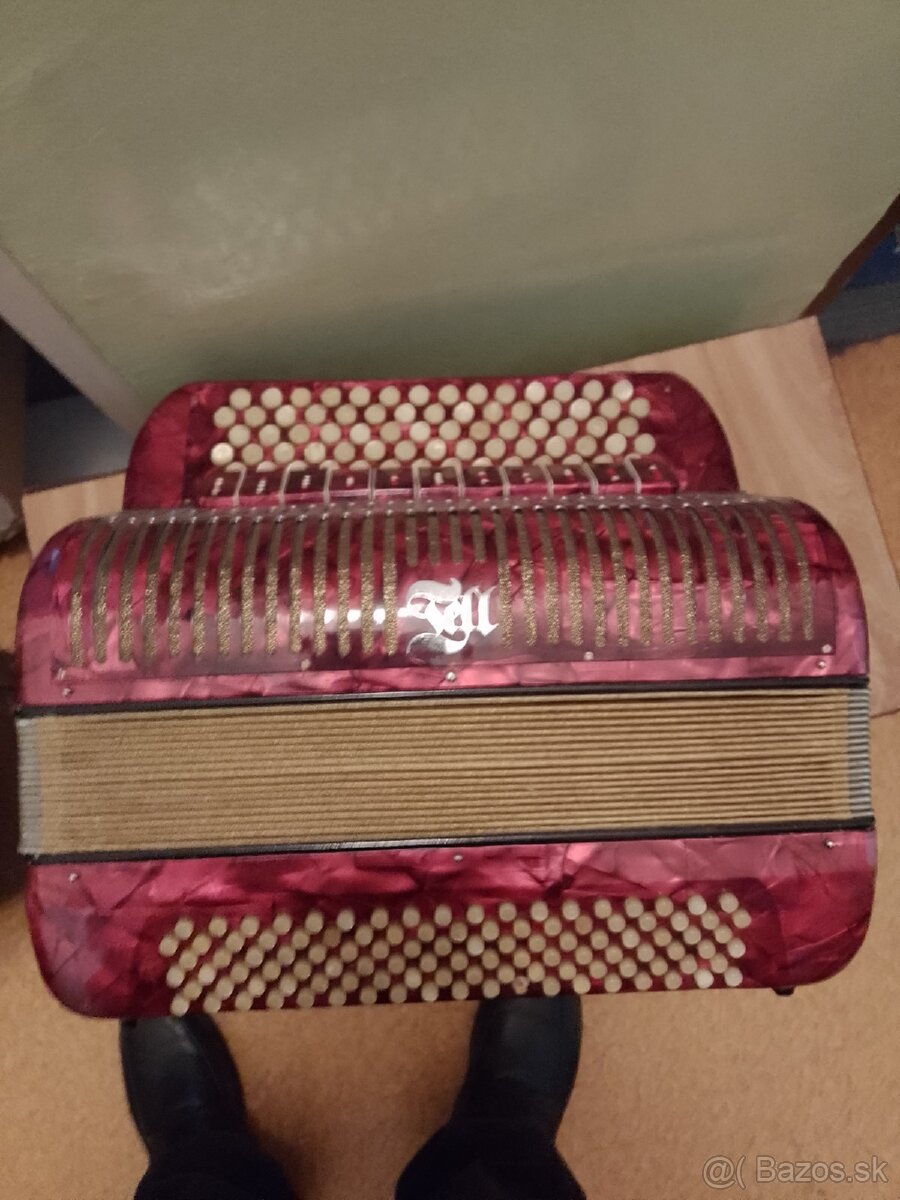 Akordeón,Harmonika, - 10