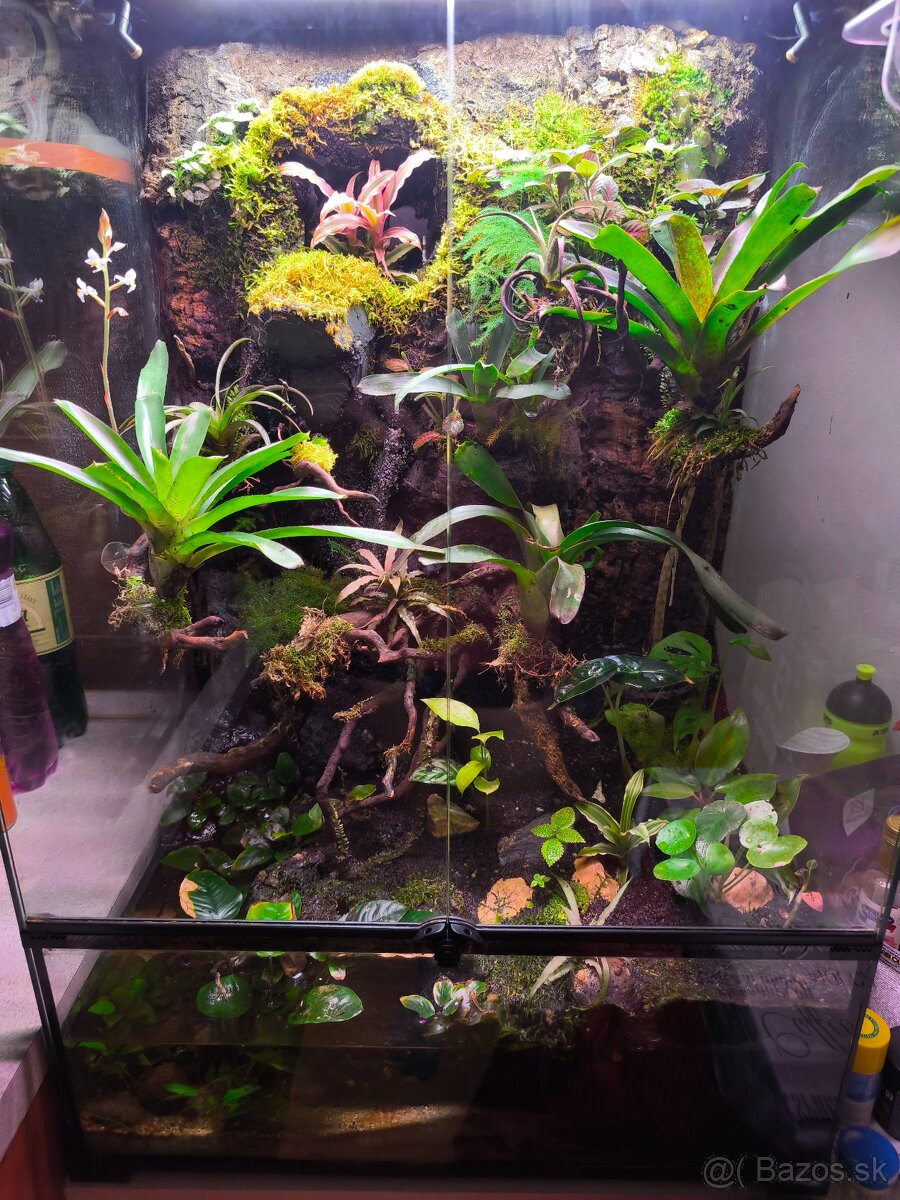 Predám terárium - 10