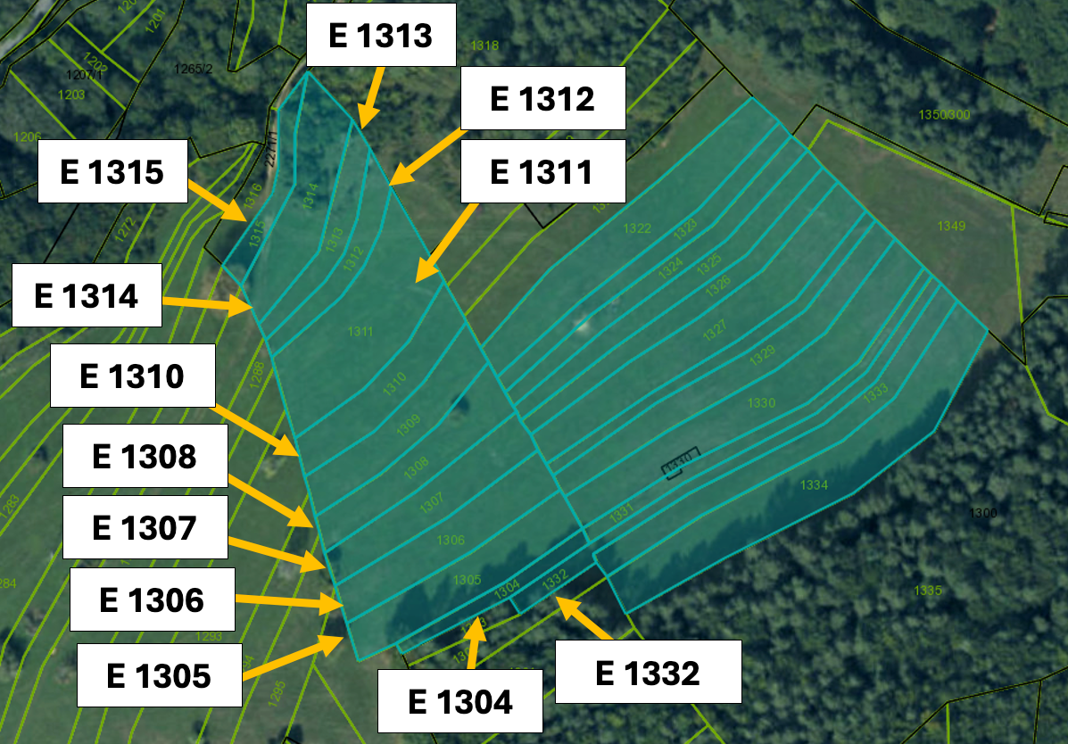 Omastiná – 9.909 m2 LESY a PASIENKY – PREDAJ - 10