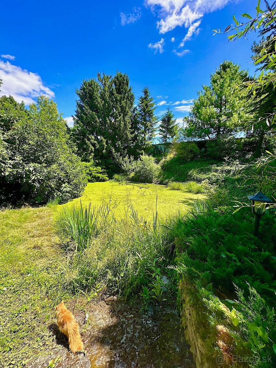 7-izb. Rodinný dom s bazénom na pozemku 5.100 m2 - 10