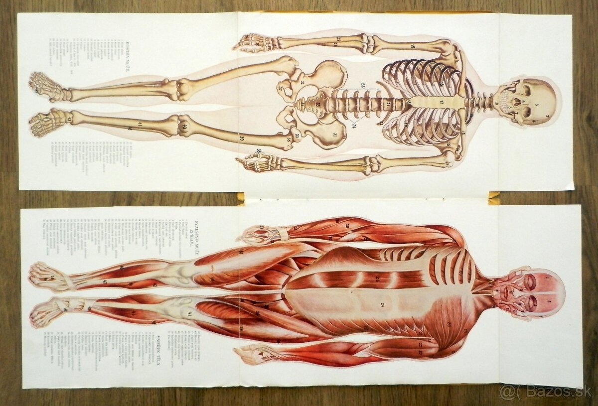 Starožitné lékařské/léčitelské knihy Nové domácí léčení - 10