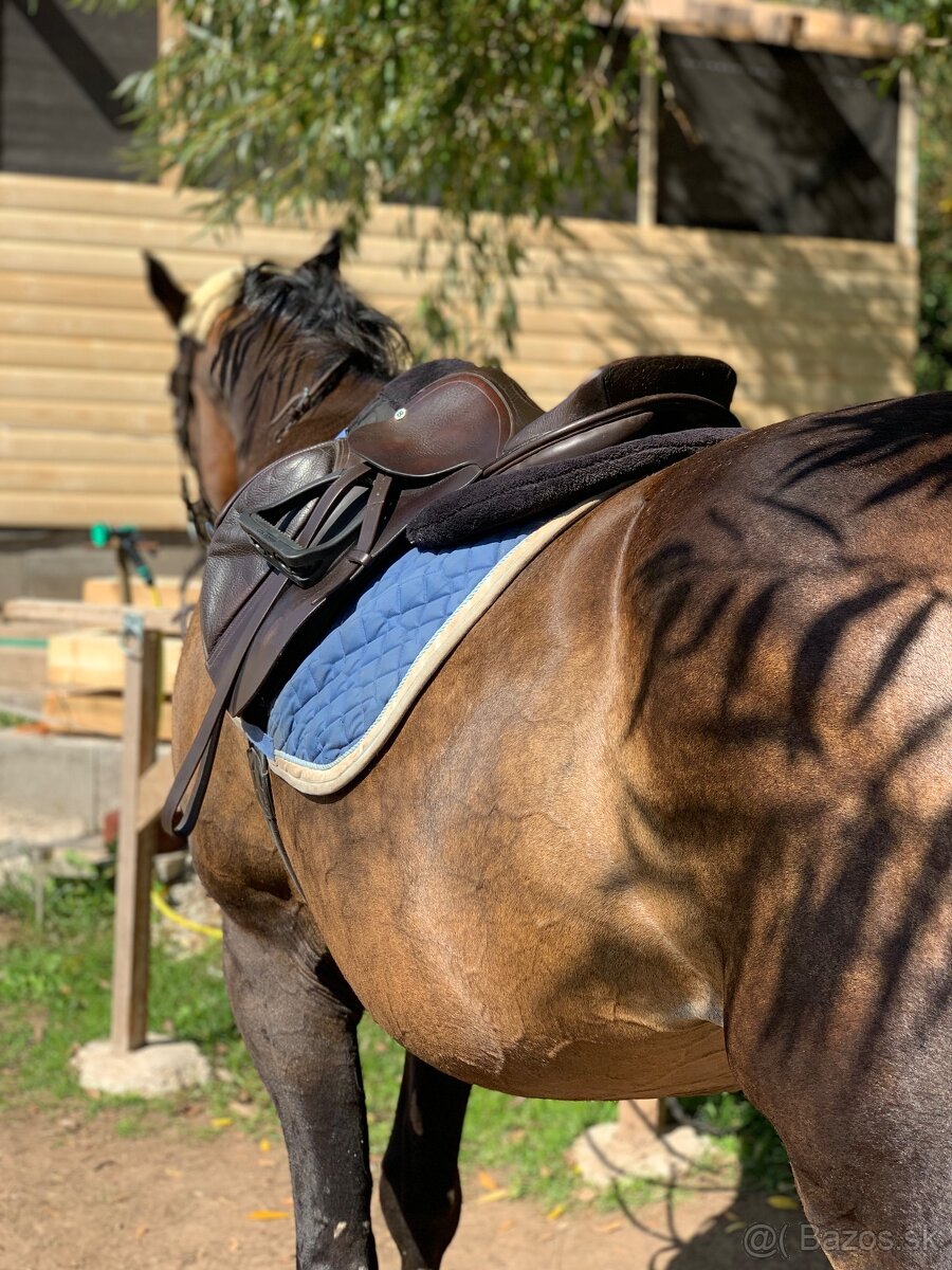 Skokové sedlo - Barnsby - 10