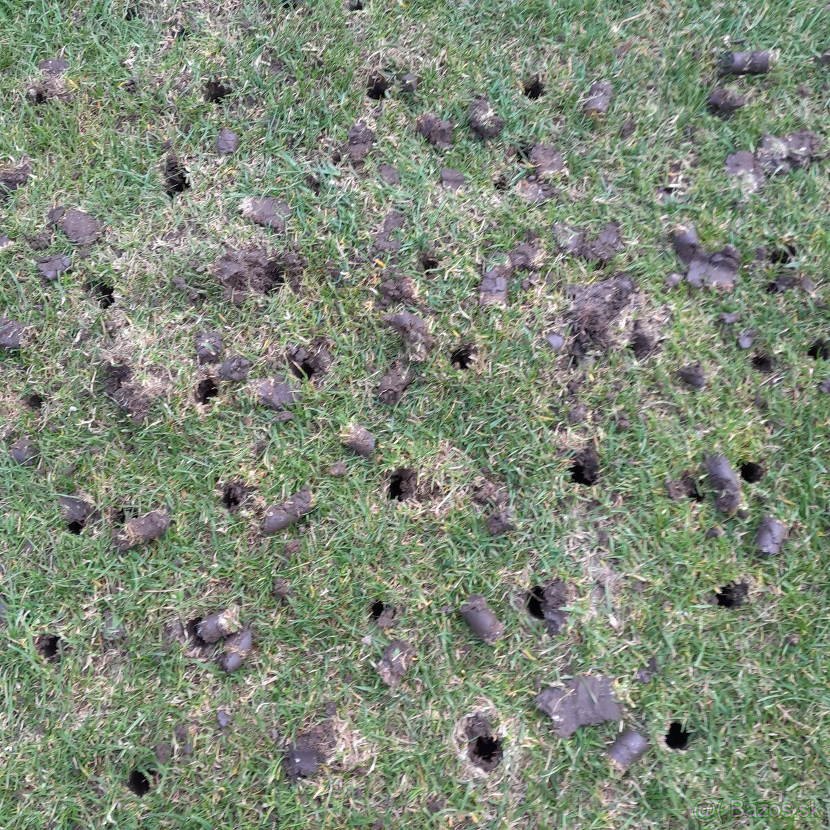 Zakladanie trávnika,Mulčovanie, úprava pôdy,kosenie, oranie, - 10