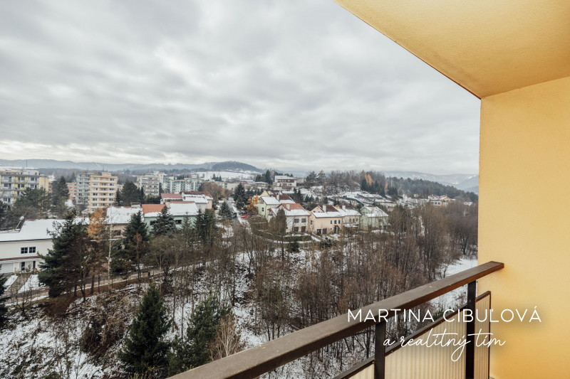 1 izbový zrekonštruovaný byt na Šalgotarjánskej ulici je na - 10