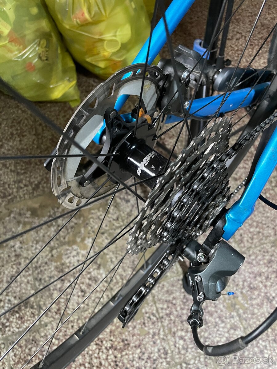 Canyon endurace 6 - 10