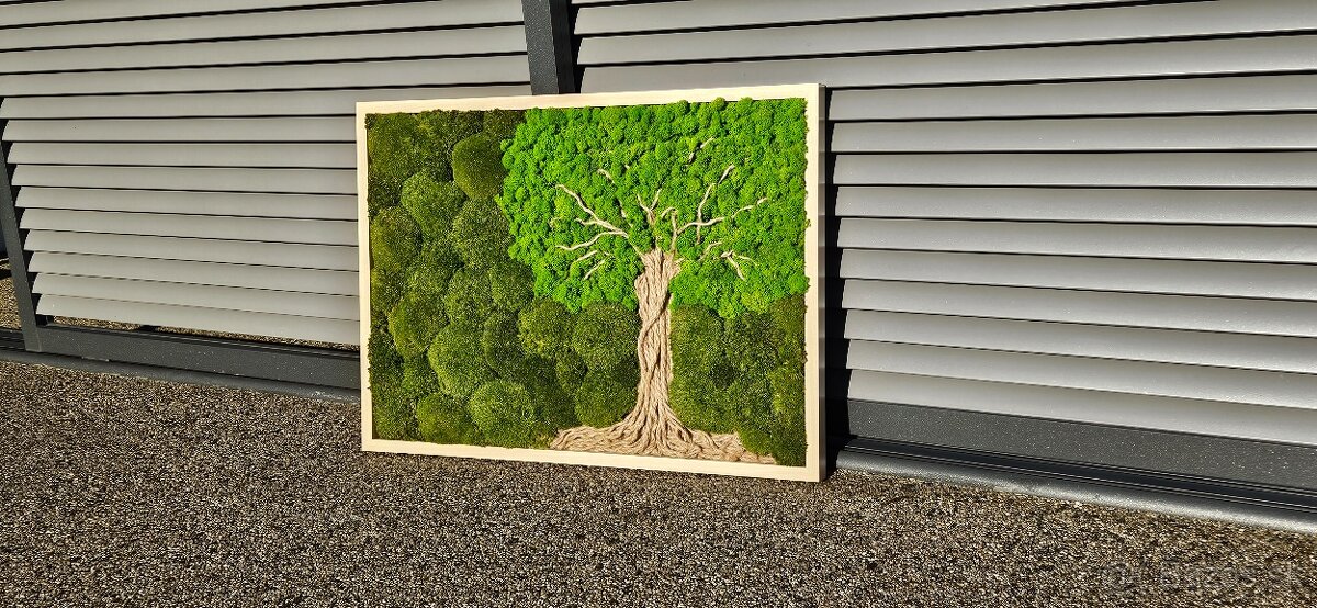 Machové obrazy - 10