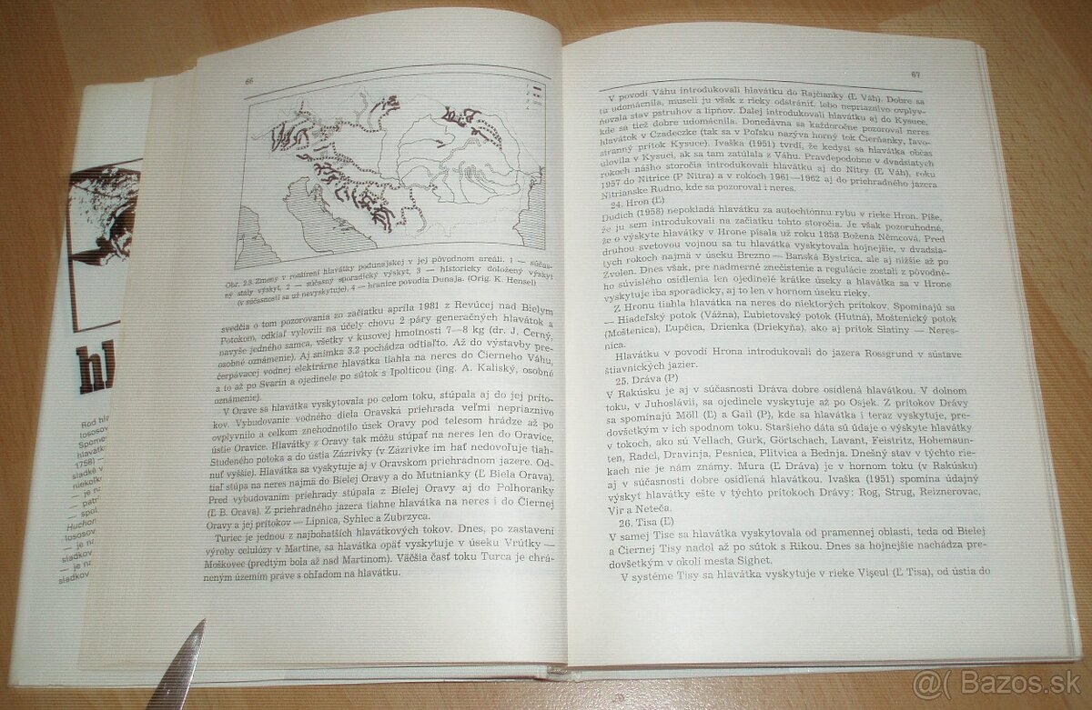Hlavátka - 10