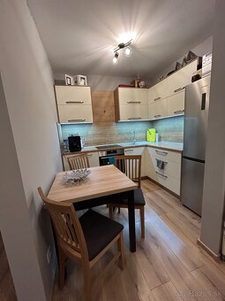 1 izbový byt na prenájom - 10