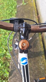 Detský bicykel Giant 20" - 10