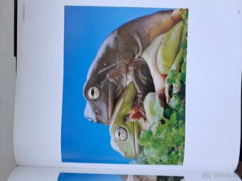 MAKRO FOTOSCHULE - 10