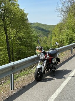 Honda Dax 125 - 10