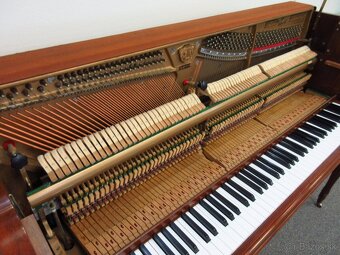 nádherné americké piano za Super cenu s All inclusive - 10