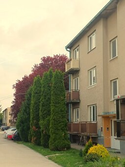 Veľký, svetlý 3 - izbový byt s dvoma balkónmi a záhradkou - 10