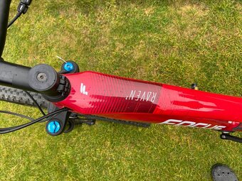 Focus Raven2 carbon 29" - 16kg - 10