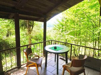 Chata Domaša - Výhľad na vodu - 10