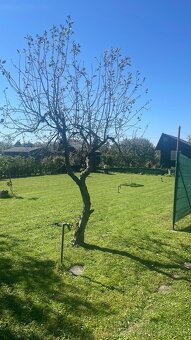 Zahrada v ZO Sĺňava (Drahovská Hať) PIEŠŤANY - 400m2 - 10